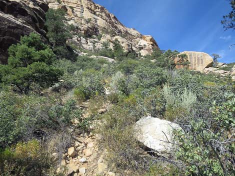 Upper Lost Creek Falls