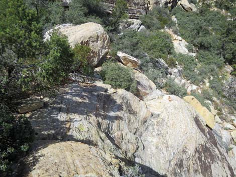 Upper Lost Creek Falls