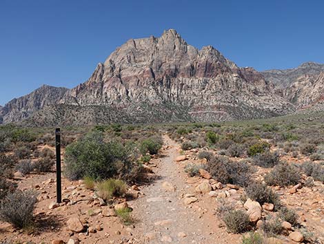 oak creek canyon