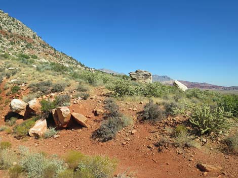 Oak Creek Canyon Trail