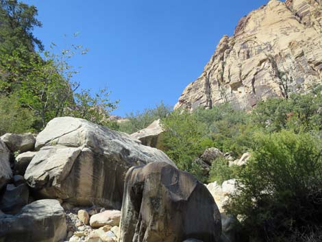 oak creek canyon