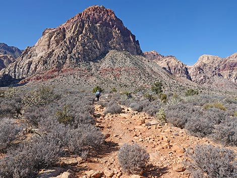 Middle Oak Creek Trail