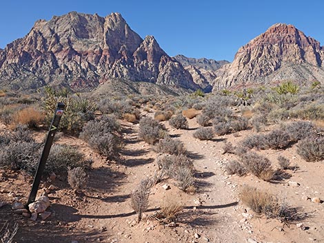 Middle Oak Creek Trail