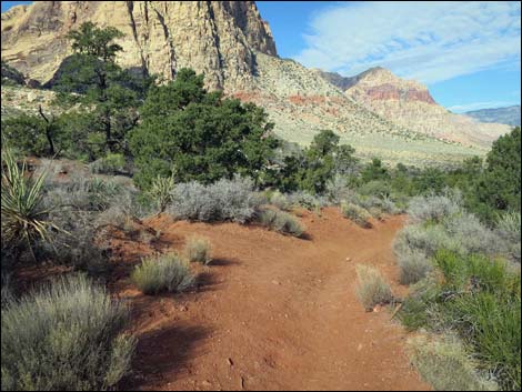 South Oak Creek Trail