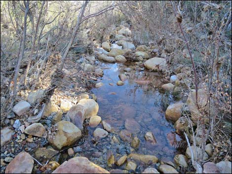 South Oak Creek Trail