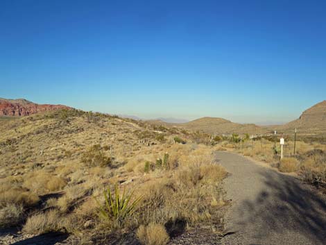 Red Rock Overlook Trail