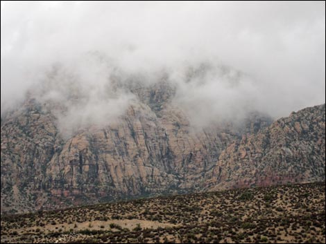 Scenic Loop Road Highpoint