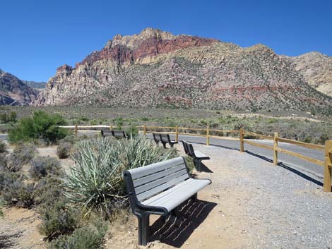 Red Rock Wash Overlook