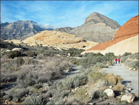 Sandstone Quarry