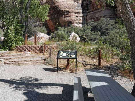 Willow Spring Picnic Area