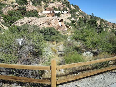 Willow Spring Picnic Area