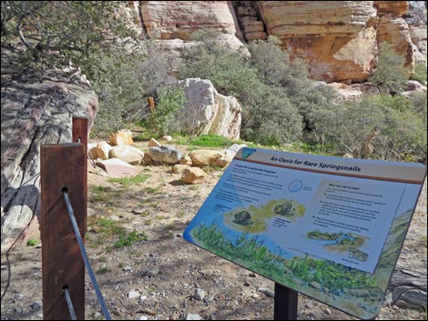 Willow Springs Picnic Area