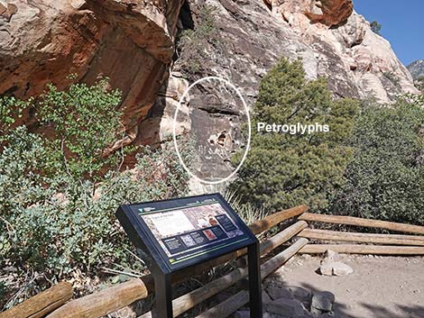 Petroglyph Wall Trail