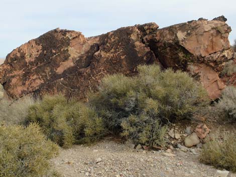 Red Rock Canyon NCA