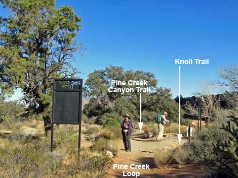 Pine Creek Canyon Trail