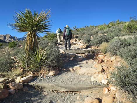 Pine Creek Canyon Trail