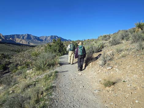 Pine Creek Canyon Trail