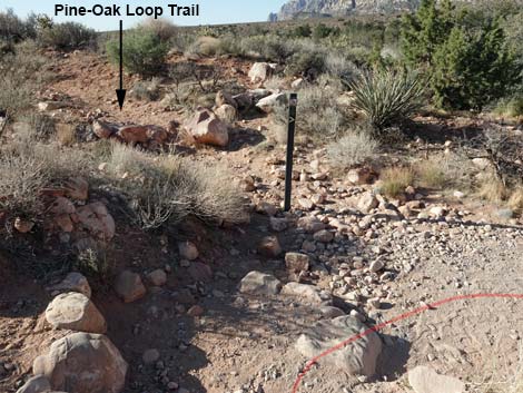 Pine Creek Canyon Trail