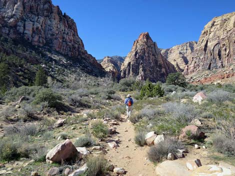 Pine Creek Trail