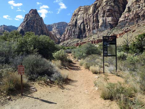 Pine Creek Loop Trail