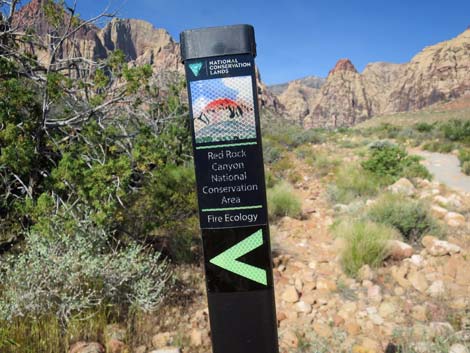 Pine Creek Canyon Trail