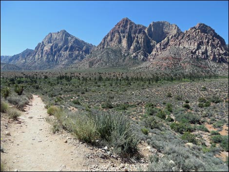 Pine Creek Trail