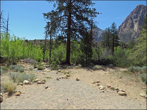 Pine Creek Trail