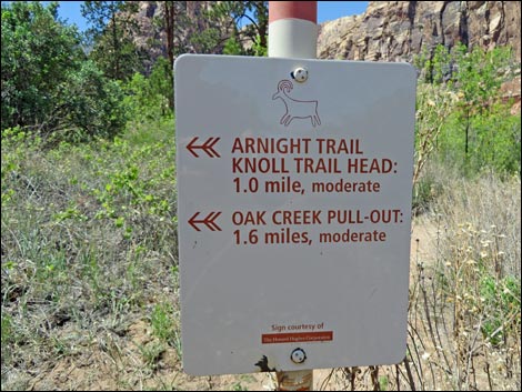 Knoll Trail