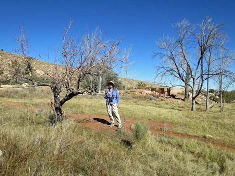 Pine Creek Trail