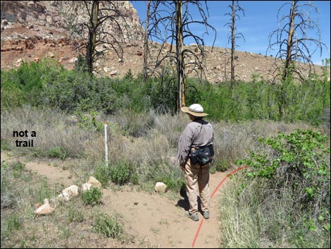 Pine Creek Trail