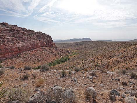 Ride Share Deluxe Loop Trail