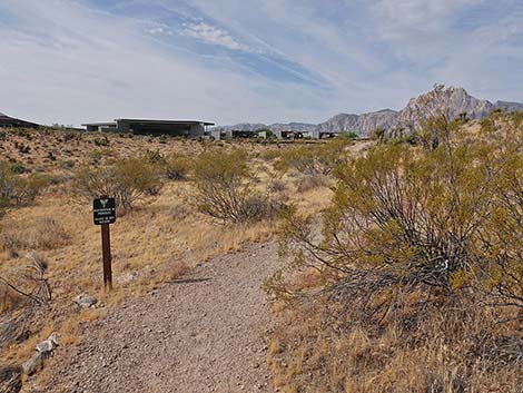 Ride Share Deluxe Loop Trail