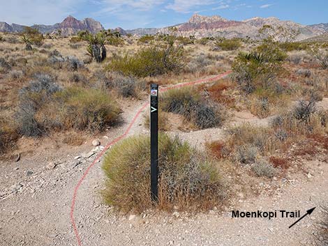 Ride Share Deluxe Loop Trail