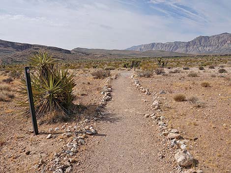 Ride Share Deluxe Loop Trail