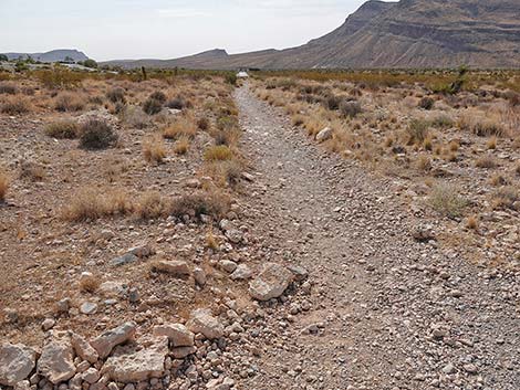 Ride Share Deluxe Loop Trail