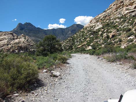 Rocky Gap Road