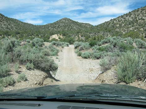 Rocky Gap Road