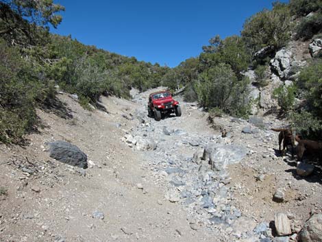 Rocky Gap Road