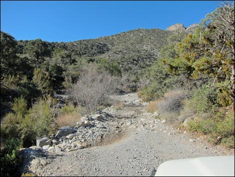 Rocky Gap Road