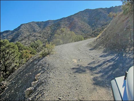 Rocky Gap Road