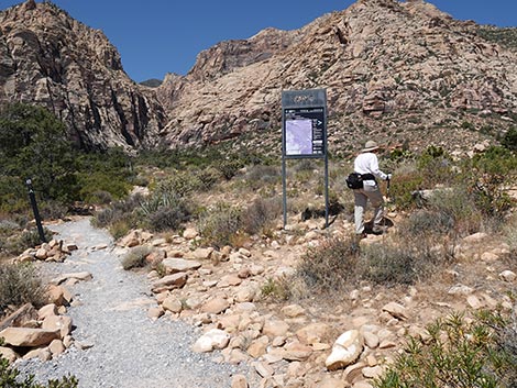 SMYC Trail