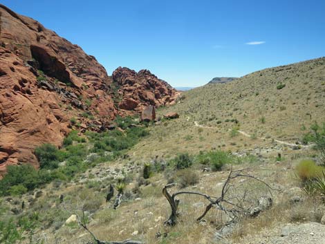 Calico Hills Trail - Sandstone Quarry to Calico 1