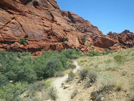 Calico Hills Trail - Sandstone Quarry to Calico 1