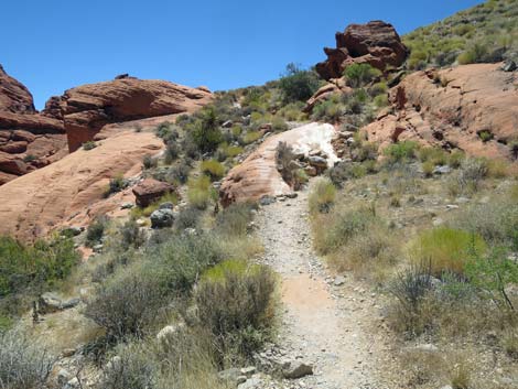 Calico Hills Trail - Sandstone Quarry to Calico 1