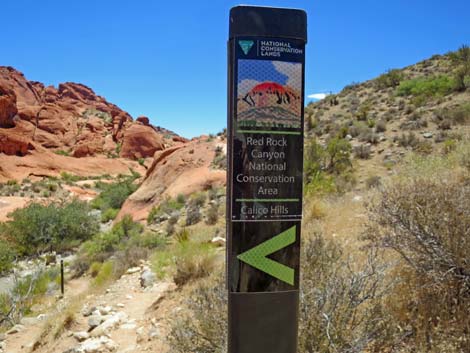 Calico Hills Trail - Sandstone Quarry to Calico 1