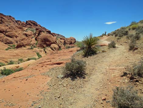 Calico Hills Trail - Sandstone Quarry to Calico 1