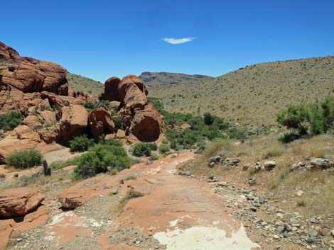 Calico Hills Trail - Sandstone Quarry to Calico 1