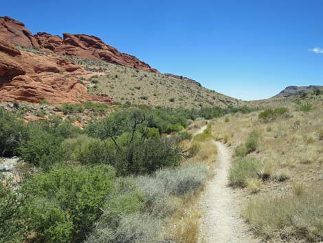 Calico Hills Trail - Sandstone Quarry to Calico 1