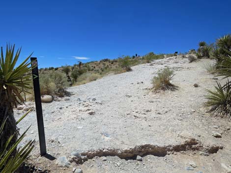 Calico Hills Trail - Sandstone Quarry to Calico 1