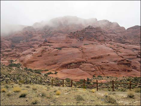 Calico Hills 2 Trailhead